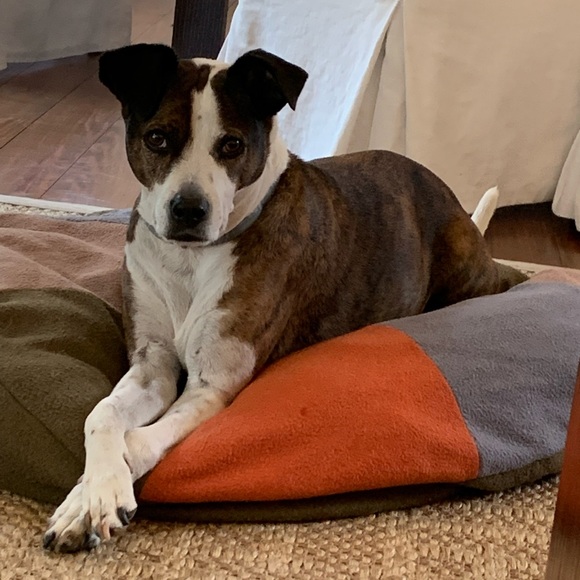 Meet your Posher, Lisa - Picture 1 of 3